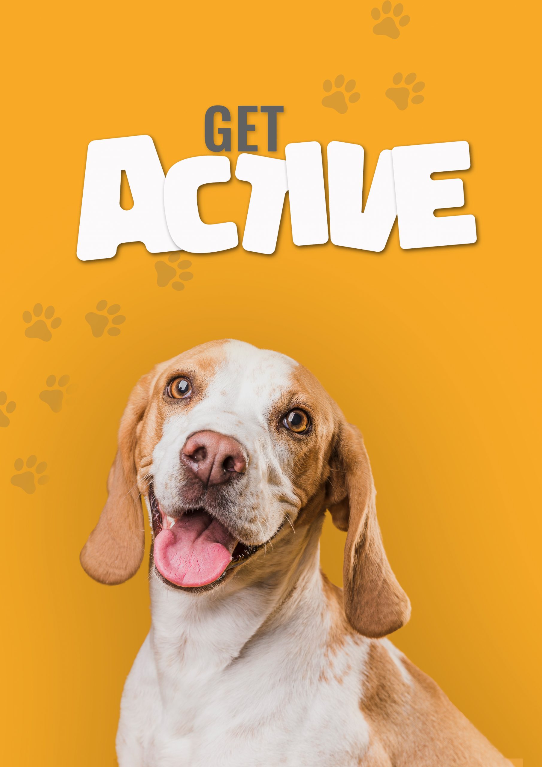 Hunde glücklich machen