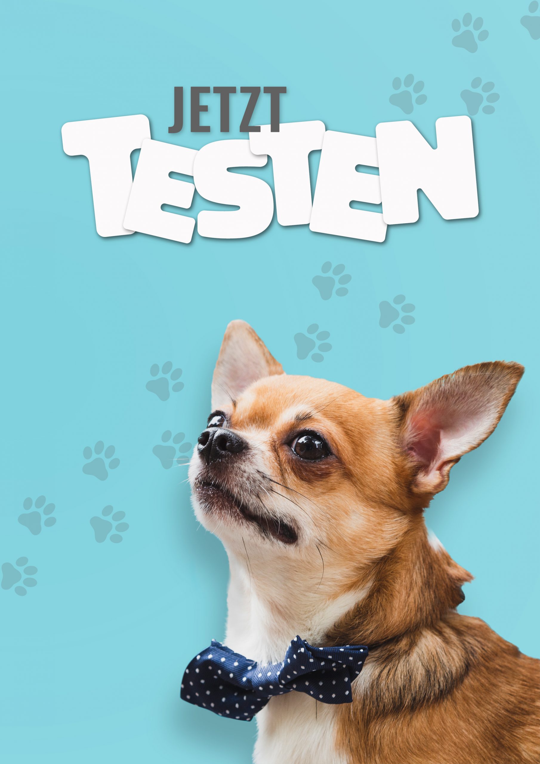 Der beste Futterzusatz für Haustiere im Test