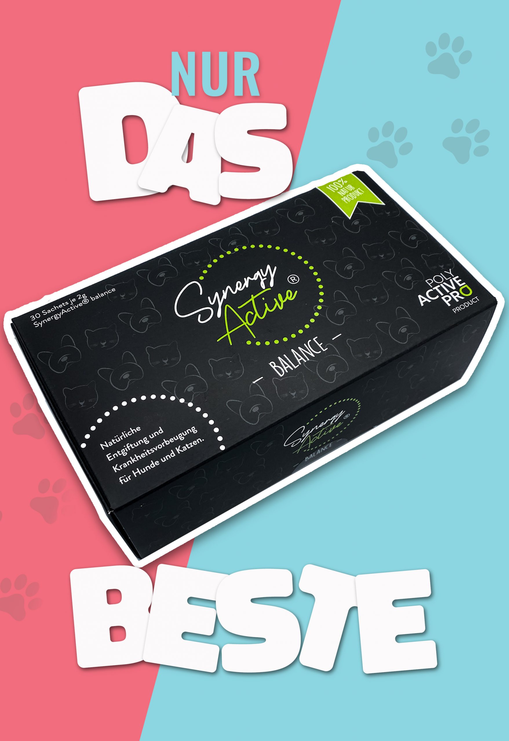 Das beste Ergänzungsmittel für Hunde und Katzen