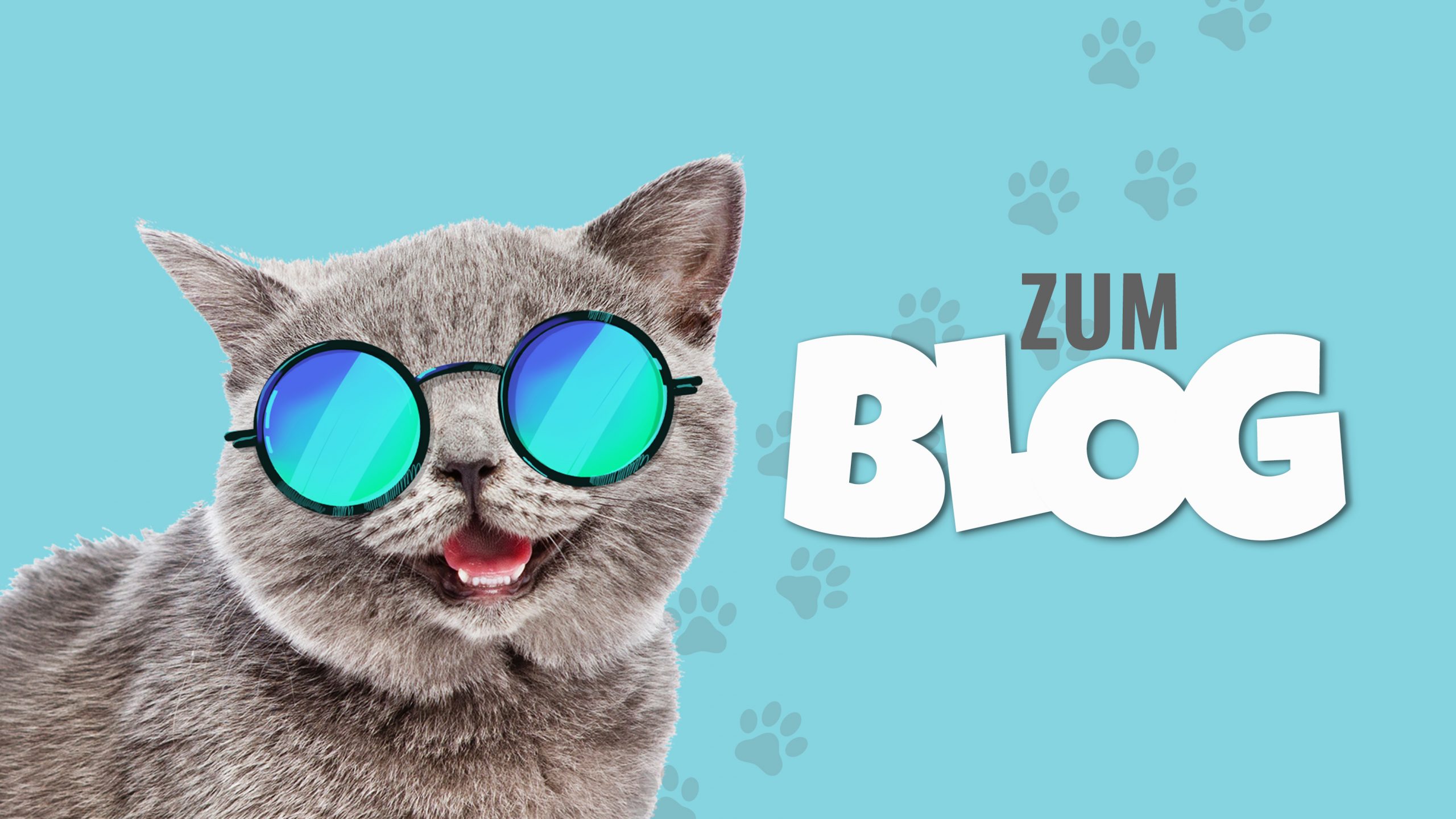 Gesundheit und Fitness von Haustieren